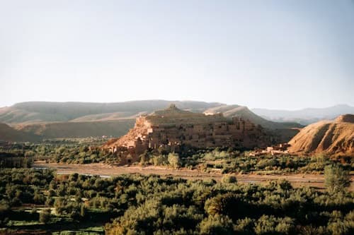 UK–Algeria Trade & Investment Forum