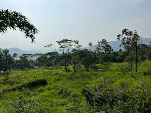 Gabonese Republic Trade & Investment Mission