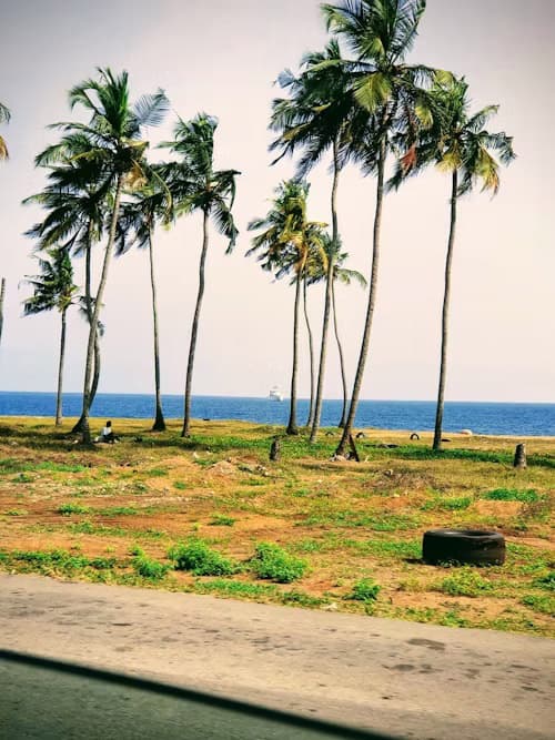 Republic of Ghana Trade & Investment Mission